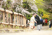 浜松城公園 和装フォトプラン